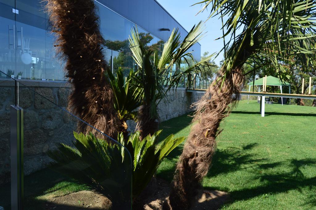Quinta Das Tulipas Villa Barcelos Exteriör bild